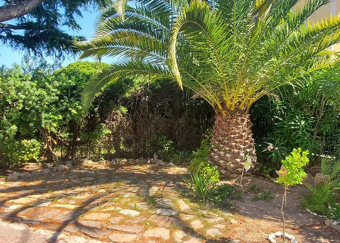 Port Frejus T2 58M2 Climatise Avec Terrasse, Parki